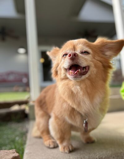 Fifi Finley