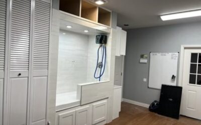 Puppy’s First Groom in McKinney: Setting the Stage for Success