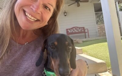 Investing in Your Dog’s Confidence: The Long-Term Value of Specialized Care