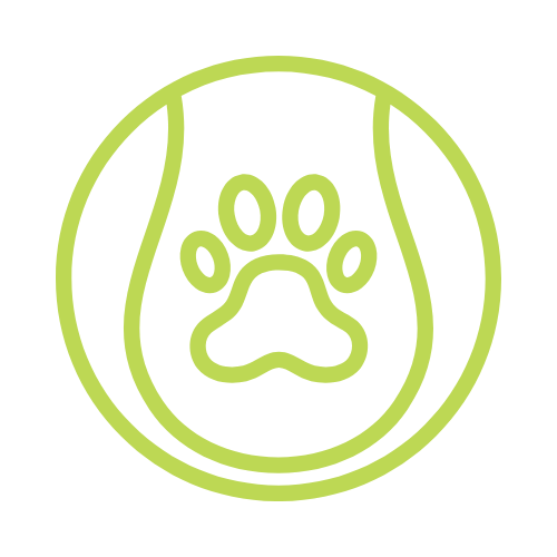 Dog Daycare
